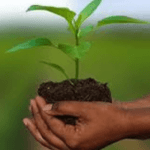 Agricultural innovation