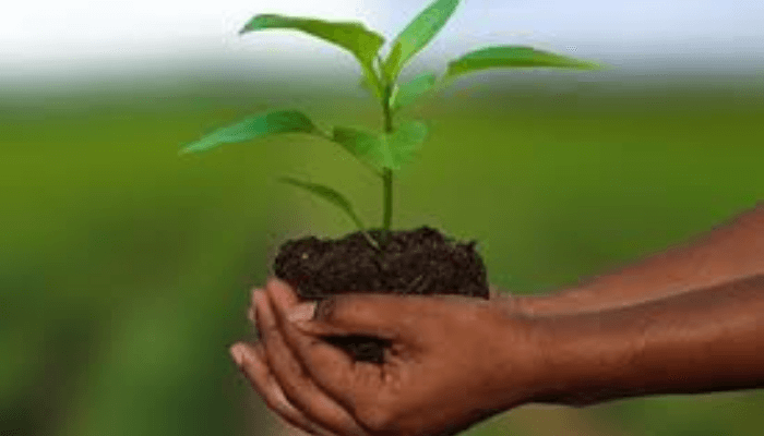 Agricultural innovation