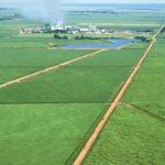 Europe’s sugar-quota