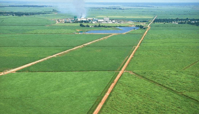 Europe’s sugar-quota