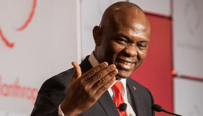 Tony Elumelu Foundation