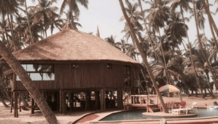 Tree-House