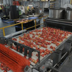 Agro-processing