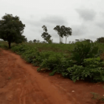 Non-performing plots in Awka