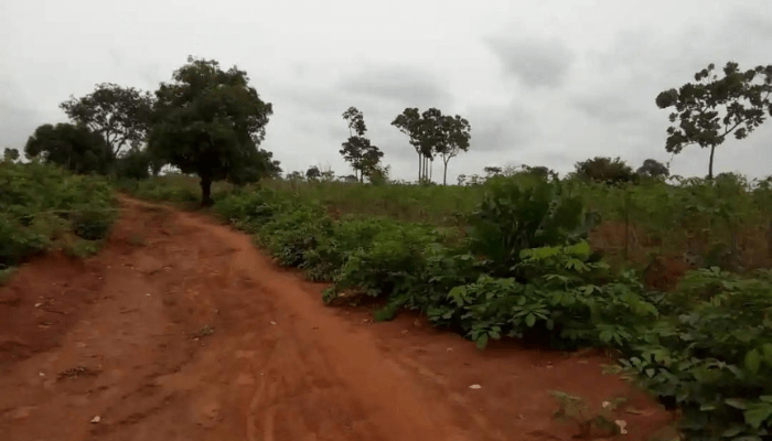 Non-performing plots in Awka