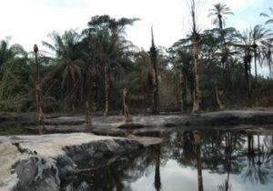 niger_delta_oilspill