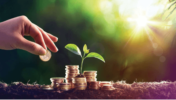 investment in Nigeria