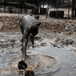 Environmental Degradation