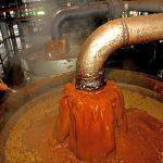 Cross River produces 200,000 metric tons of palm oil annually - CALCIMA