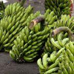 Buhari pledges to deploy technology to sustain agriculture yield