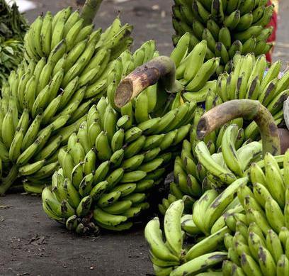 Buhari pledges to deploy technology to sustain agriculture yield