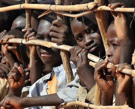 Cameroon illegally deported 100,000 Nigerian refugees: rights group