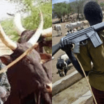 Heardsmen attack in Plateau