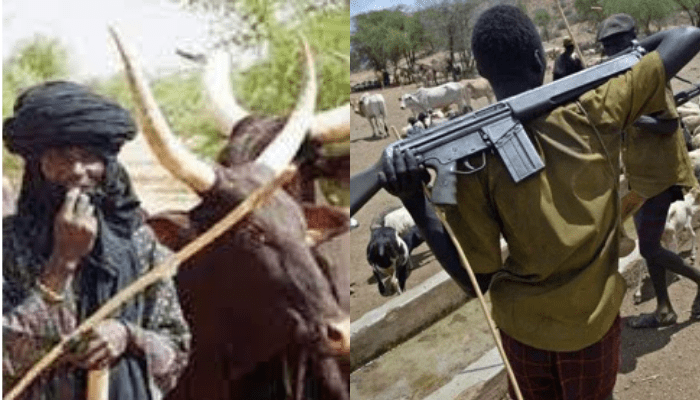 Heardsmen attack in Plateau