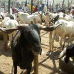 sallah