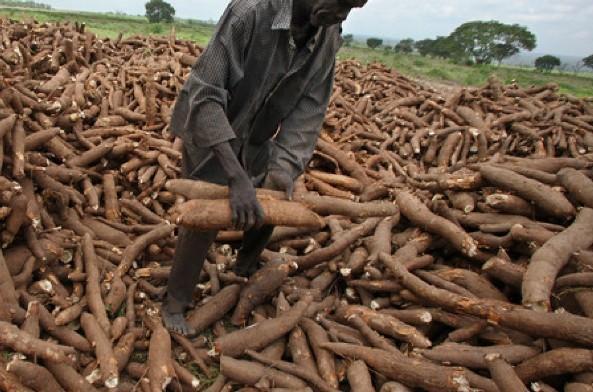 Nigeria youths to be trained