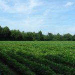 Environment stakeholders charge religious groups, individuals to conserve land, nature