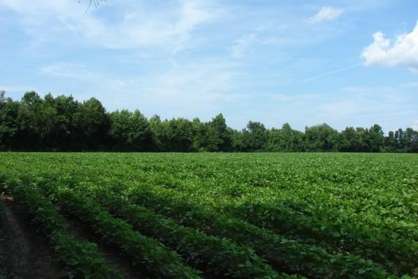 Environment stakeholders charge religious groups, individuals to conserve land, nature