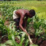 As Lagos empowers youth through agriculture