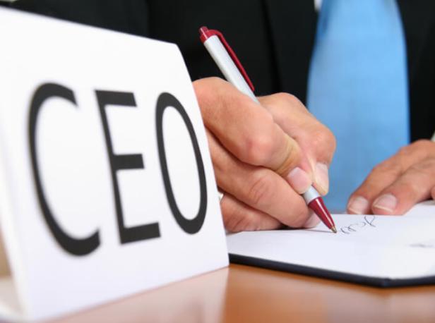 BusinessDay Top 25 CEOs