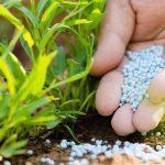 PFI assures of adequate supply of quality fertilizer to farmers