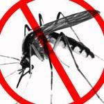 Reps urges FG to implement National Malaria treatment policy