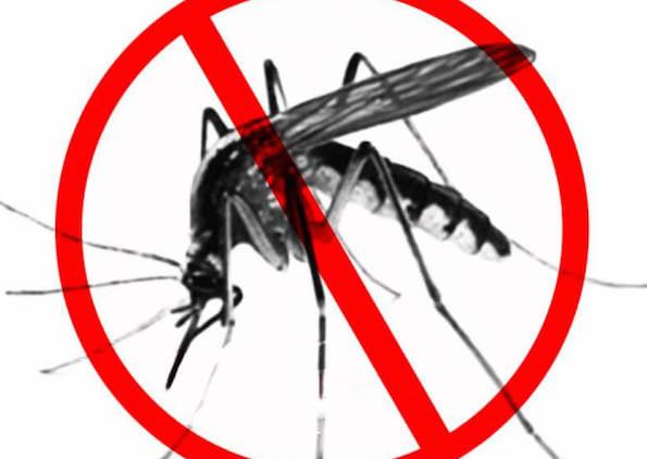 Reps urges FG to implement National Malaria treatment policy