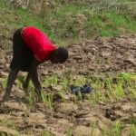 youths advised on subsistence farming