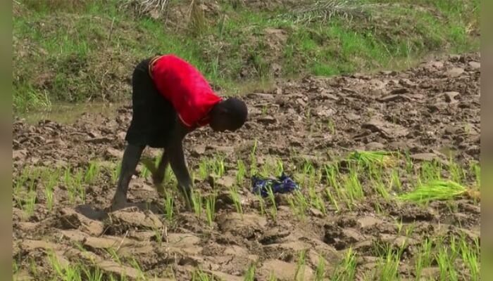 youths advised on subsistence farming