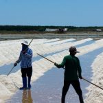 Ebonyi Salt industry held back