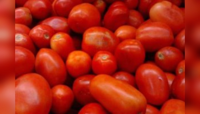 NABG engages stakeholders on tomato price