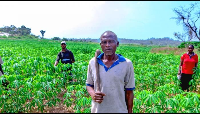 Nigeria’s farm yield lesser than other African farms