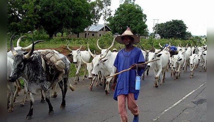 Fulani