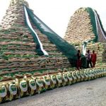 Ogun state unveils mitros rice