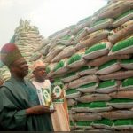Ogun state boosts Ofada rice production
