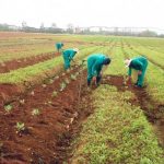 FADAMA III farmers killed