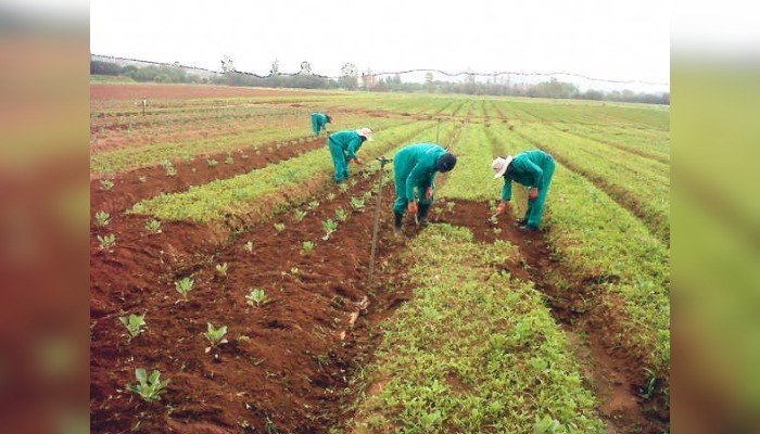 FADAMA III farmers killed