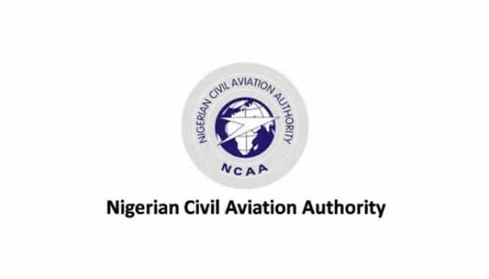 Holiday rush tests airlines