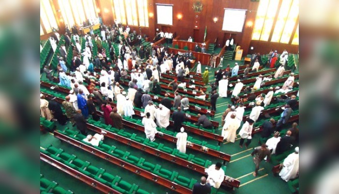 Reps pass budget to second reading
