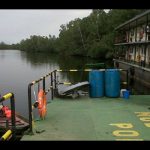 Indigenous Oil firms