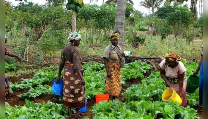 sustainable agriculture