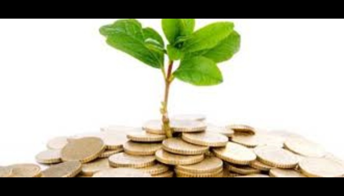 Agricultural Insurance in Nigeria