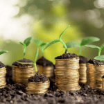 Nigerians’ adoption of positive attitude to environment will reduce pressure on government finances - Expert