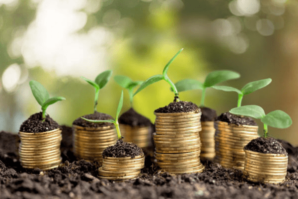 Nigerians’ adoption of positive attitude to environment will reduce pressure on government finances - Expert