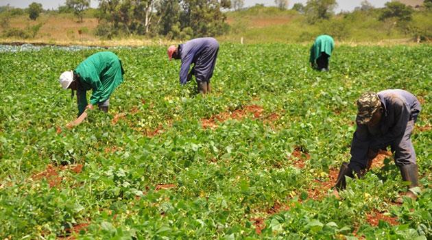 Kogi farmers get N58.5m from Anchor Borrowers Program