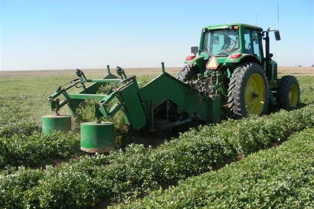 Nigeria agricultural extension