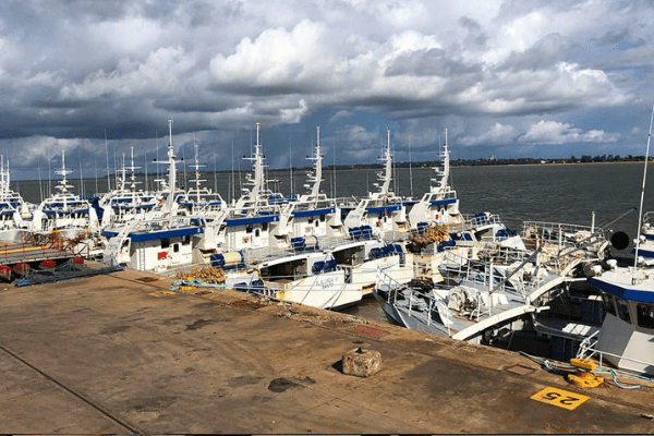 Mozambique’s ruling party closes ranks over ‘tuna bond’ scandal