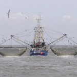 Ex-Credit Suisse bankers charged over $2bn Mozambique ‘tuna bond’ scandal