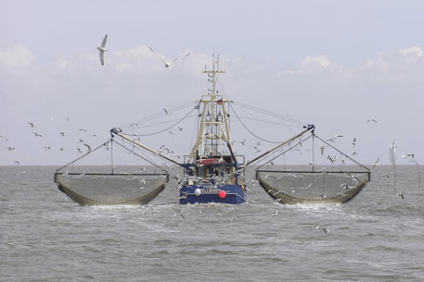 Ex-Credit Suisse bankers charged over $2bn Mozambique ‘tuna bond’ scandal