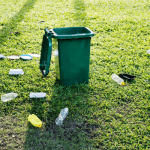 Waste recyling could boost healthy environment, job creation